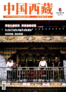 老年医学与保健